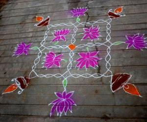 Lotus kolam