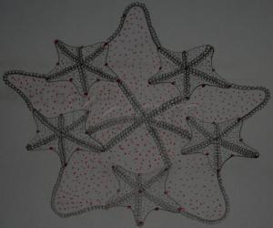 Starfish Kolam