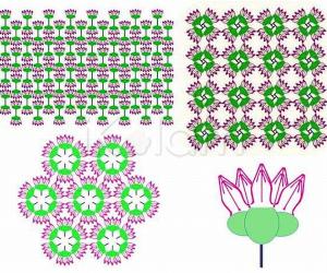 Rangoli: A collage of flowers