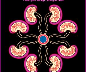 World Kidney day - March 10 2011