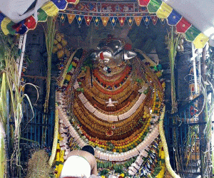 Rangoli: Nandhi on Mattupongal day