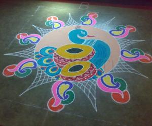 Rangoli: peacock with drum