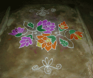 Kolams for all seasons