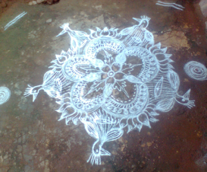 Rangoli: Wednesday's special kolam 