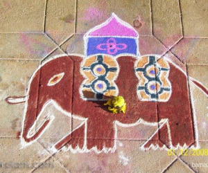 Elephant kolam