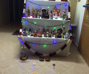 Our house golu 2014