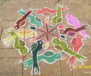 Group of birds rangoli