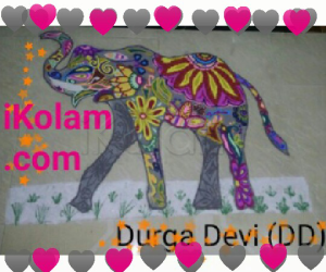 DD Elephant design kolam