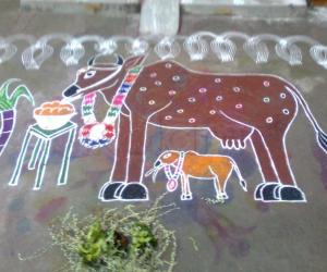 Mattu Pongal Kolam (Part-1)