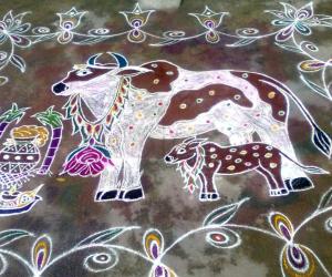 Mattu Pongal Kolam 