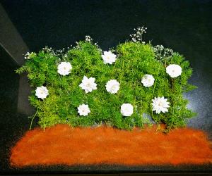 Home Kolams/Rangolis.... Made this with foliage/ filler leaves from a bouquet that we got....used some paper white paper flowers and brown colour powder....
