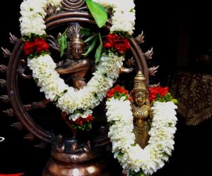 2019- Shivratri- Lord Nataraj and Goddess Shivagamasundari