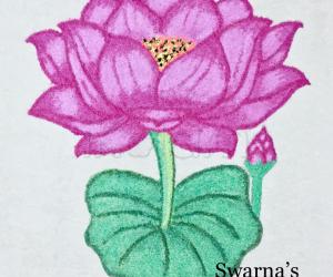 Lotus flower 