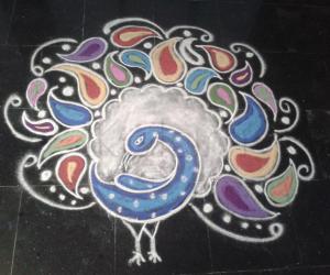 Paisley Peacock rangoli