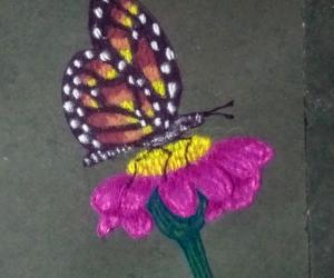 Butterfly on a flower