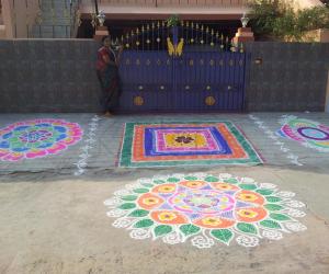 Rangoli: RANGOLI FOR THE DAY OF MATTU PONGAL (2013)