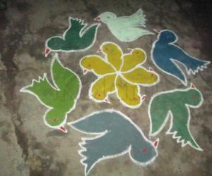 bird kolam