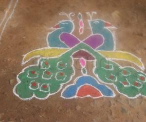 Rangoli: Peacocks