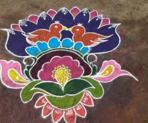 Today rangoli for pongal fest