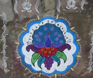 Peacock - Pongal Special