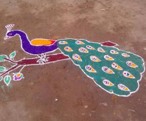 Rangoli: freehand peacock rangoli