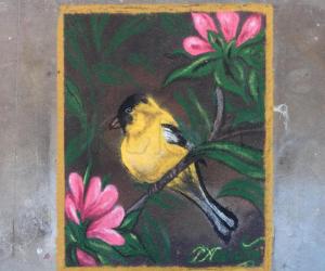 Rangoli: BIRD