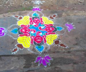 Rangoli: festival rangoli.