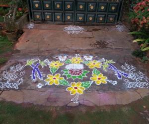 mattu pongal rangoli