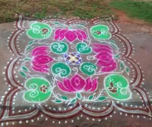 lotus leaves and flowers