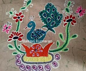 Daily rangoli