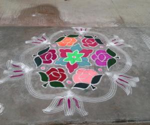 Garden of Roses celebrating Pongal.....