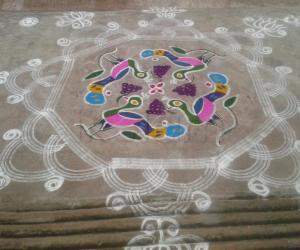 Peacock kolam...