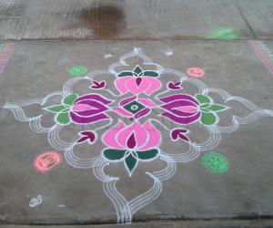 Lotus kolam