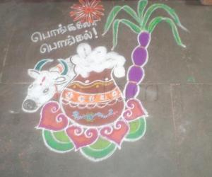 free hand  pongal rangoli