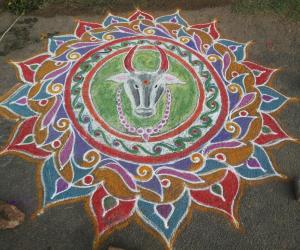 Rangoli: Happy maatu pongal 2015