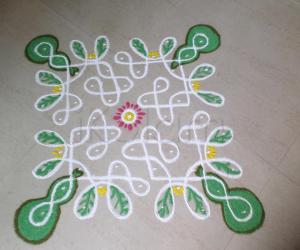 BOTTLE GUARD CREEPER IN CHIKKU RANGOLI