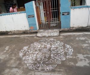 Butterfly & creeper kolam in white.