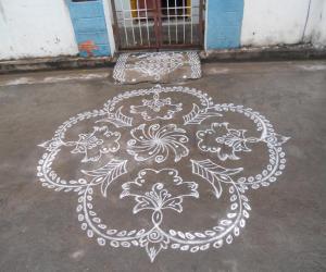  Flower like flower kolam. Kolam in white.