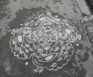 Rangoli: Peacock kolam in white.