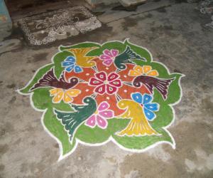  Dotted & Bordered Rangoli. colourful sparrows.