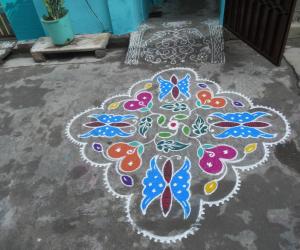 Butterfly, flower & leaf kolam.