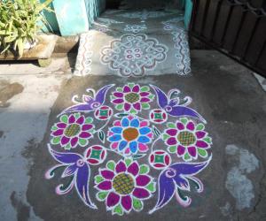 Sunflower in pink & green, Kolam.