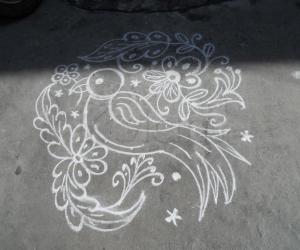 Daily kolam. Parrot on a branch.