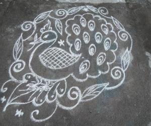 Daily peacock kolam.