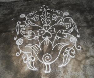 Kolam in white flower bunch.