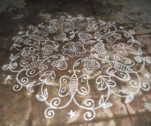 Butterfly in climbers. Kolam in white.