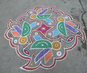 Honey bees in colour, Different kolam.