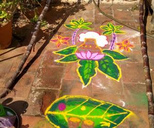 Pongal kolam