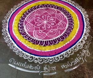 Pongal Rangoli 