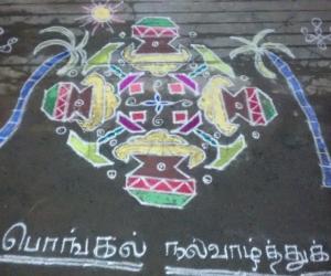 Pongal kolam